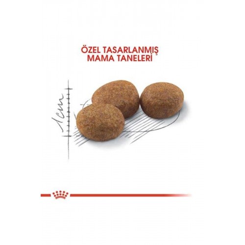 Royal Canin Sterilised 37 Kedi Kuru Maması 2 Kg