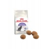 Royal Canin Sterilised 37 Kedi Kuru Maması 2 Kg