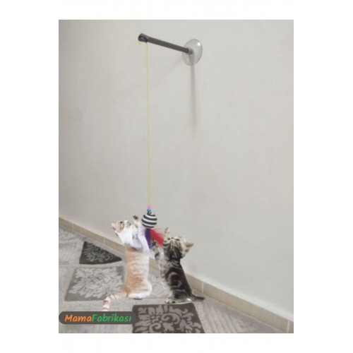 Vantuzlu Kedi Oltası Kedi Oyuncağı